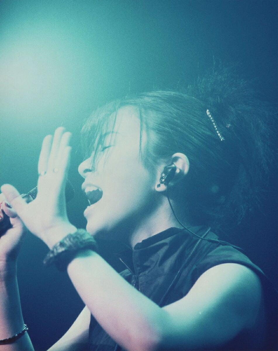 HIKARU UTADA LIVE CHRONICLES Luv Live (1999)【Blu-ray】