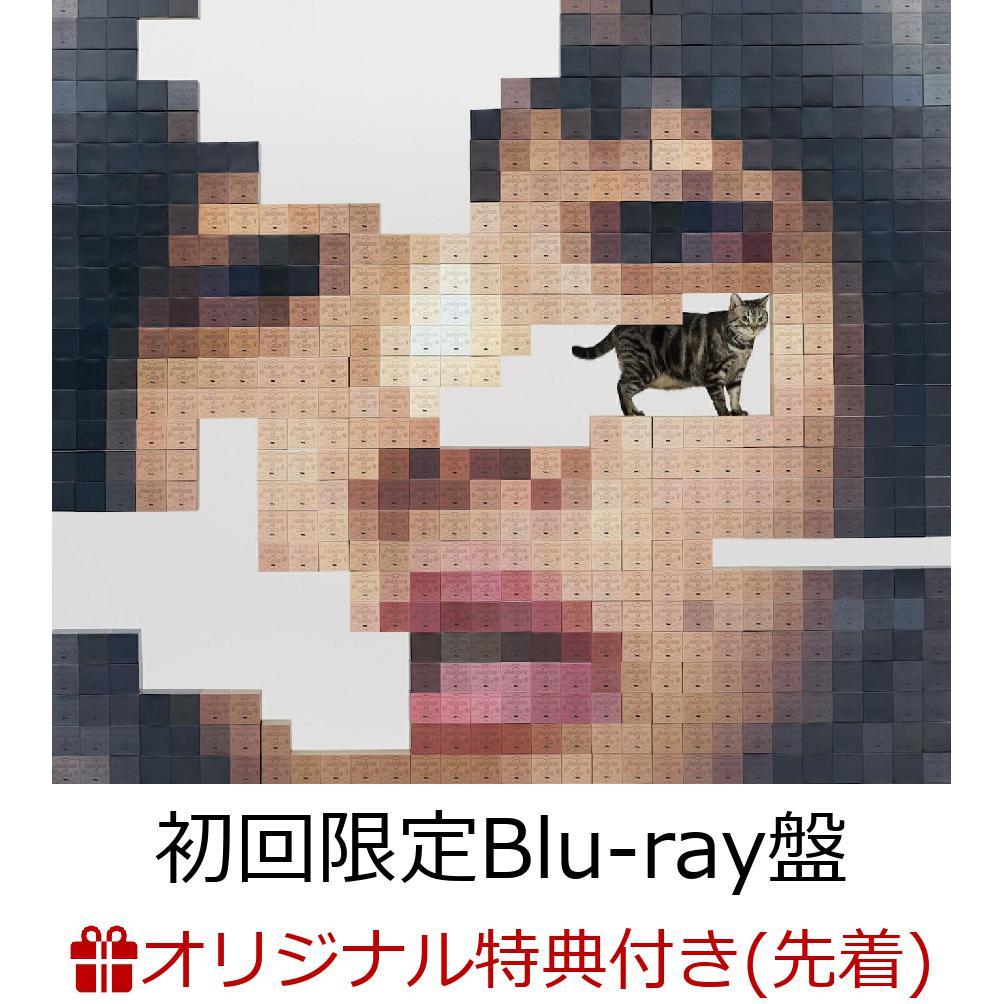 【楽天ブックス限定先着特典】猫にジェラシー (初回限定Blu-ray盤 CD＋2Blu-ray)(アクリルキーホルダー)